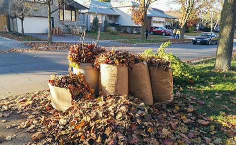 yard-waste-disposal-guide-curbside-470x290